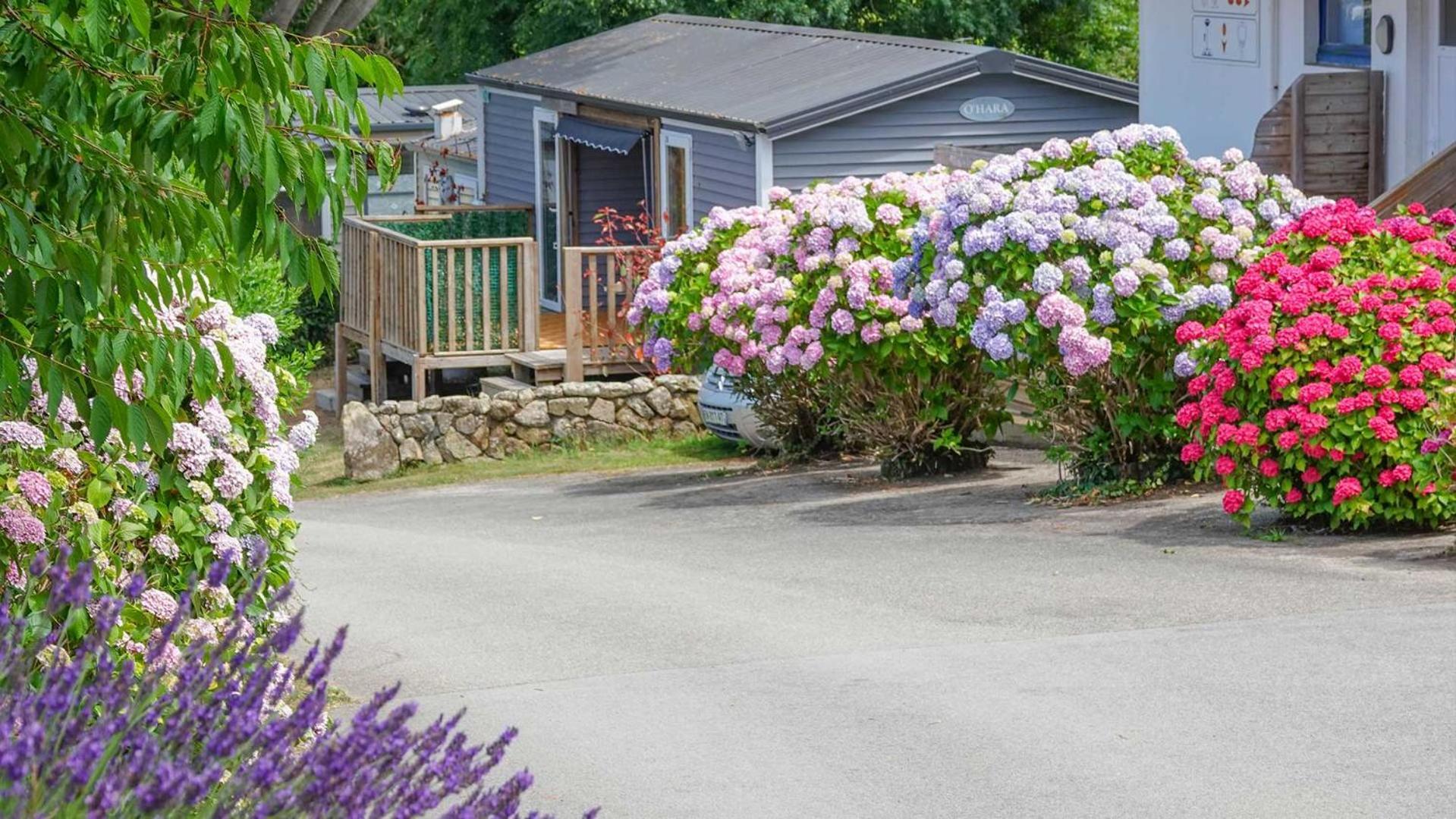 Camping Le Dolmen, Carnac, Morbihan Exterior foto